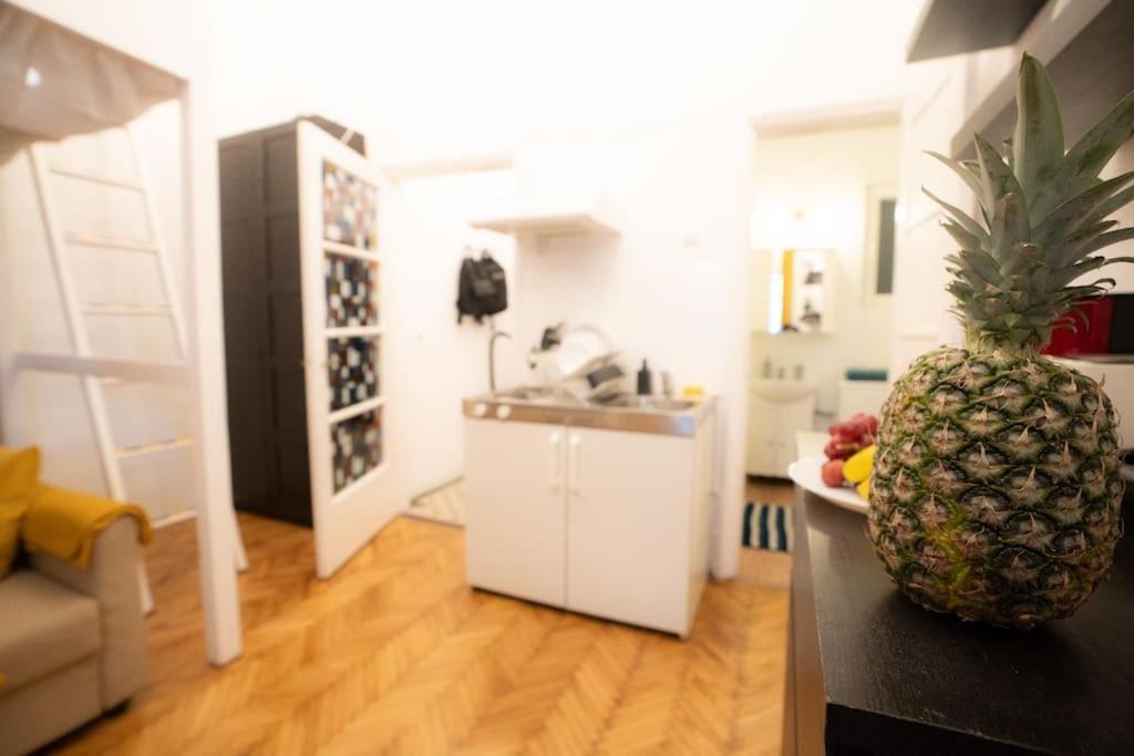شقة بوخارست  في Cozy Studio Near Cismigiu Park المظهر الخارجي الصورة
